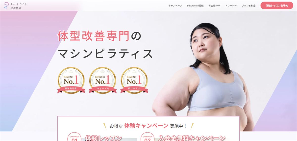 Plus One 秋葉原店